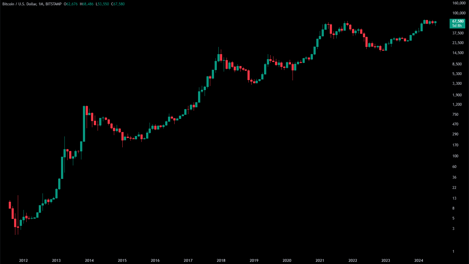 Bitcoin - Monthly View - 13 years perspective